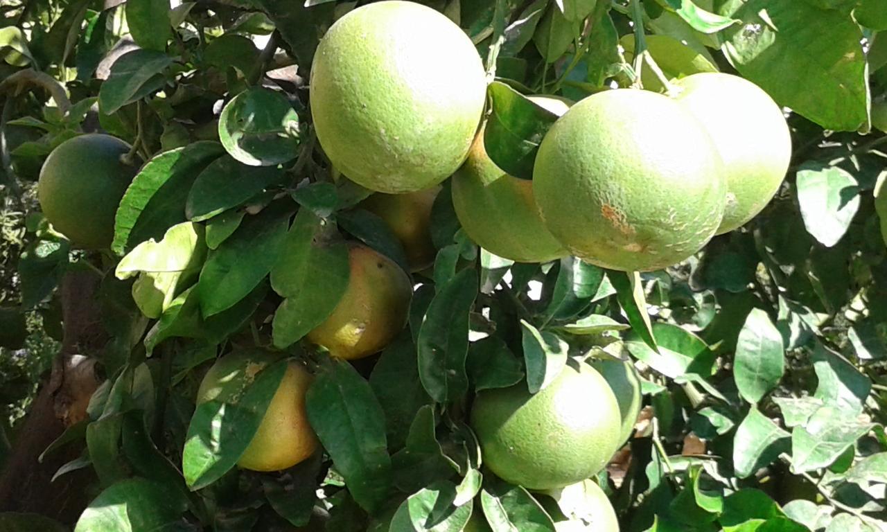 SpanoCasa Solare Rakalia别墅 外观 照片
